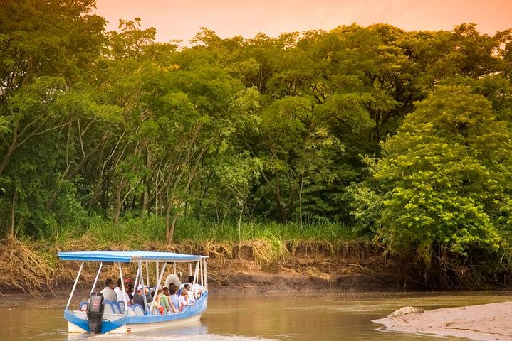 Palo Verde National Park from Tamarindo & Guanacaste - Native's Way Costa Rica Tours & Packages 